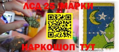 ПСИЛОЦИБИНОВЫЕ ГРИБЫ Кингисепп