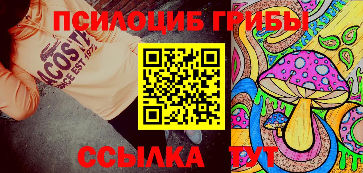 Камышлов  Псилоцибиновые грибы ЛСД  Вход с VPN 
